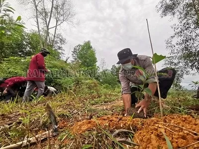 TANAM POHON: Sebanyak 475 bibit pohon ditanam sebagai langkah reboisasi di kawasan Hutan Lindung Pulau Nunukan./RIKO ADITYA/RADAR TARAKAN