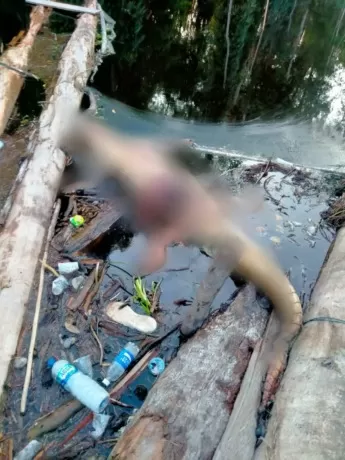 MENGAPUNG: Dalam keadaan mati, satu buaya terlihat mengapung di lokasi Kanal PT Adindo, Desa Bebatu. (RIKO ISMANTO/RADAR TARAKAN)