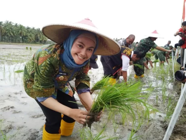 TINGKAT PRODUKSI: Bupati Nunukan saat melakukan penanaman padi yang merupakan komoditas unggulan Nunukan.(Foto: Prokopim Nunukan)