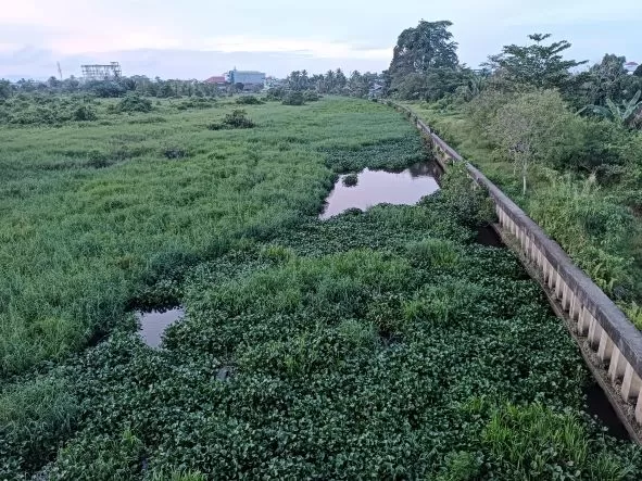 (IWAN KURNIAWAN/RADAR KALTARA) TERTUTUP: Kondisi terkini Sungai Selor yang sudah tertutup berbagai jenis tumbuhan merambat.
