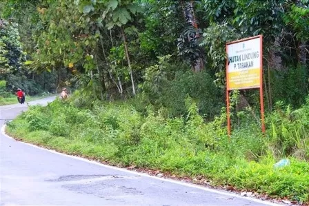 HUTAN LINDUNG: Tampak papan larangan membangun di kawasan hutan lindung Pulau Tarakan di Jalan Gunung Selatan.
