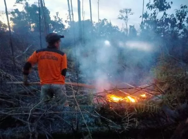 RAWAN: Tampak petugas BPBD Bulungan saat melakukan pemadaman kebakaran lahan di Tanjung Selor beberapa waktu lalu.