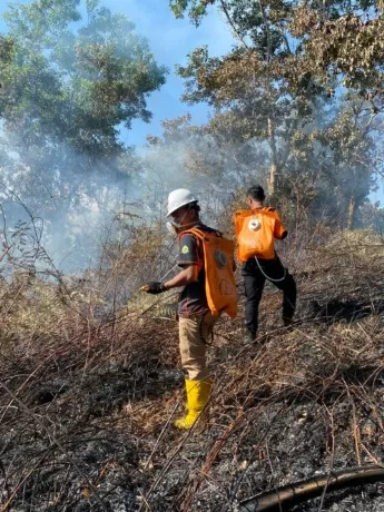 JADI ATENSI: Kebakaran hutan dan lahan yang belakangan marak terjadi di Nunukan. FOTO: RADAR TARAKAN