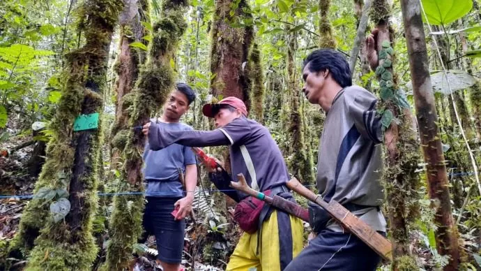 PERHUTANAN SOSIAL: Tampak masyarakat bersama KKI Warsi melakukan survei keanekaragaman hayati dan perhitungan cadangan karbon di Desa Long Nyau, Sungai Tubu, Malinau. IST