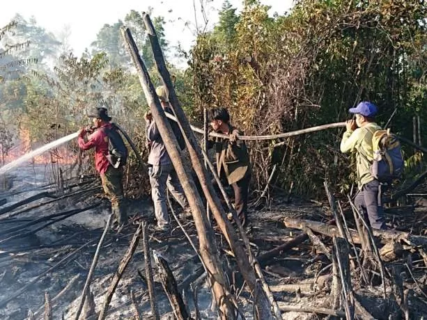 KPH Tarakan PENGENDALIAN : Unit Brigdalkarhutla KPH Tarakan saat melakukan pemadaman pada kejadian karhutla di Hutan Lindung Pulau Tarakan, baru-baru ini.