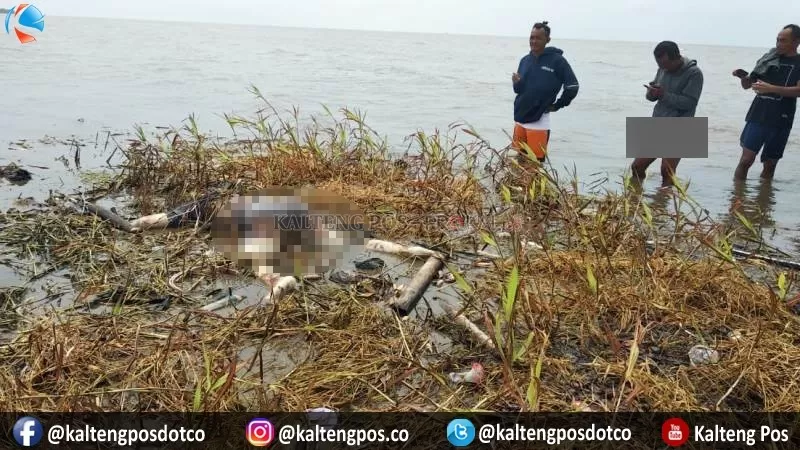 Sesosok mayat ditemukan nelayan terdampar di pantai Desa Kampung Tengah Kecamatan Katingan Kuala, Kabupaten Katingan, Jumat (17/1/2020) siang. (Foto: Warga Untuk Kaltengpos.co)