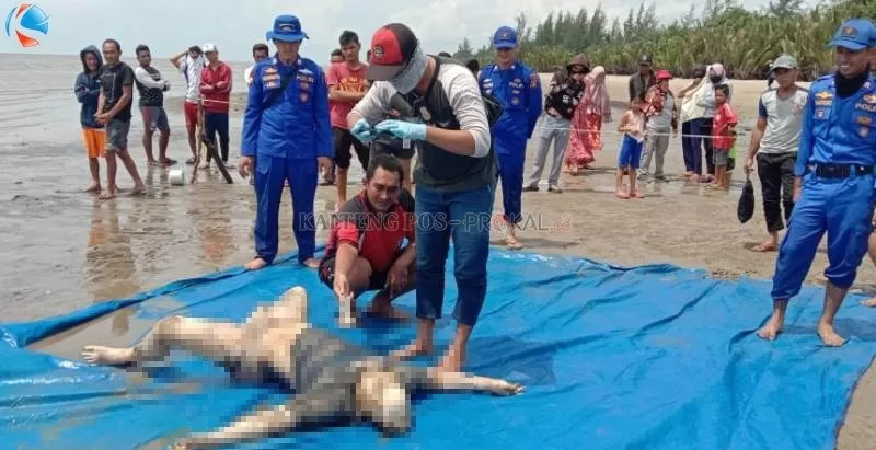 Mayat Mr X saat ditemukan di pesisir pantai Desa Kampung Tengah, Kecamatan Katingan Kuala, Kabupaten Katingan, Jumat (17/1).