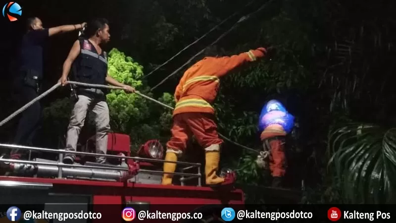 Tim Rescue Pemadam Kebakaran dan Penyelamatan Kota Palangka Raya evakuasi sarang tawon, Rabu (26/2/2020) malam