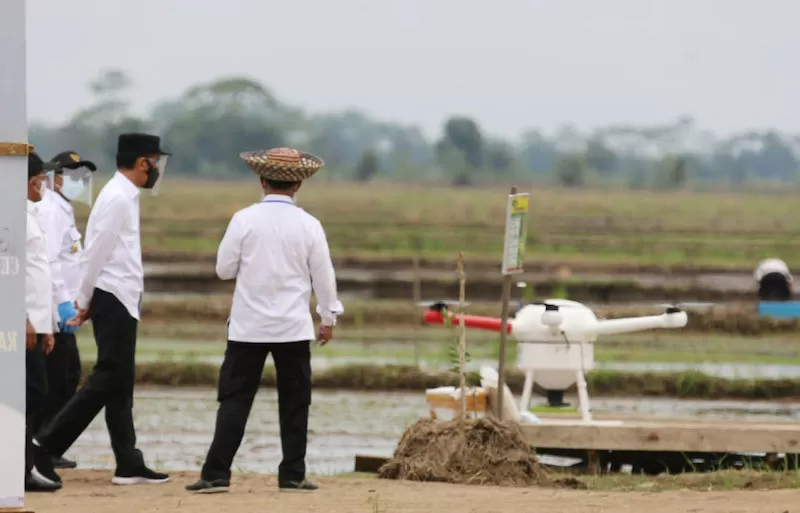 Presiden Jokowi saat meninjau kawasan food estate di Kalimantan Tengah. Foto: Humas Kementan