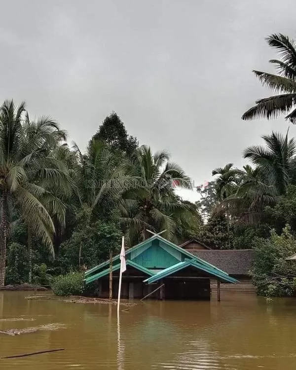 Banjir di Kalteng.