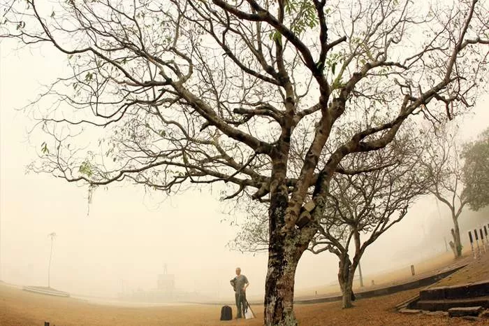 Kondisi bencana kabut asap yang diakibatkan dari kebakaran lahan di wilayah Kalteng pada tahun 2025 silam. (Foto Dok Hendry Prie/Prokalteng.co)