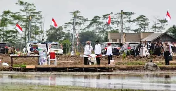 Presiden Jokowi saat mengunjungi food estate di Kalteng.