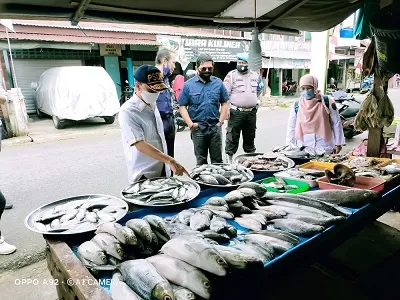 PEMERIKSAAN : Tim Pengawasan Sumber Daya Kelautan dan Perikanan Terpadu Provinsi Kaltara saat melakukan pemeriksaan Test Kit Formalin pada ikan yang dijual salah satu pedagang di Nunukan, belum lama ini.