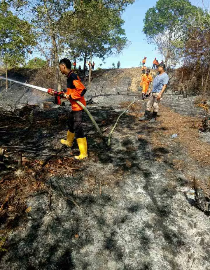 BERHASIL DIPADAMKAN: Petugas BPBD bersama pemadam kebakaran berupaya memadamkan api yang membakar lahan milik warga KM 9, Tanjung Selor (7/4).
