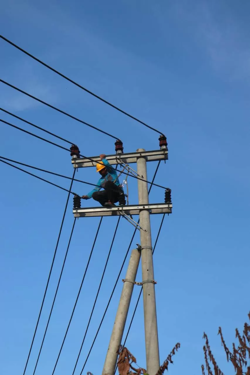 PERAWATAN: Petugas PLN Tanjung Selor melakukan perawatan jaringan listrik beberapa waktu lalu.