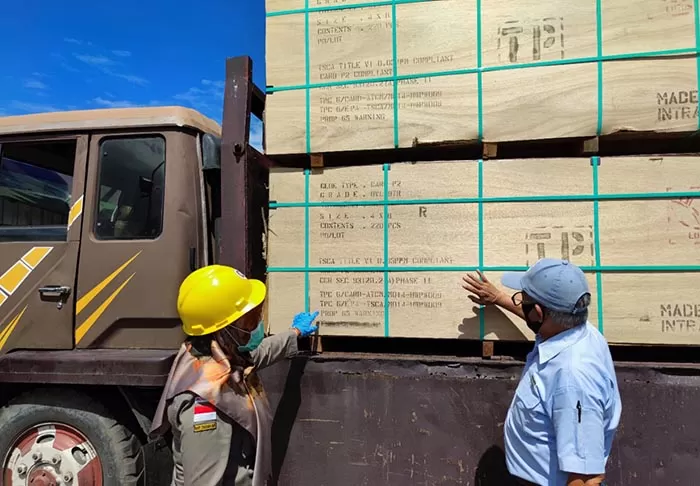 PENGAWASAN: Petugas Karantina Pertanian Tarakan memeriksa kayu olahan asal Kaltara yang akan dikirim ke luar negeri.