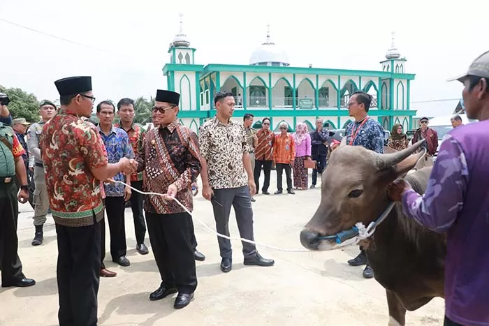 KURBAN: Gubernur Kaltara Dr H Irianto Lambrie saat menyerahkan sapi kurban kepada pengurus Masjid Al-Muhajirin, Kecamatan Tanjung Palas Utara, Bulungan, Agustus 2019 lalu.