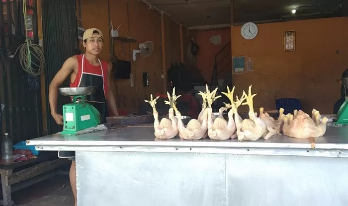 HARGA AYAM NAIK: Stok ayam di pasar tradisional menipis akibat kurangnya bibit DOC.