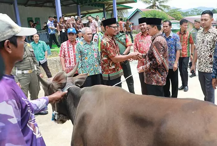 HEWAN KURBAN : Gubernur Kaltara, Dr H Irianto Lambrie saat menyerahkan sumbangan hewan kurban. Foto diabadikan 8 Agustus 2019.
