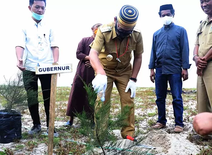MASA DEPAN INDONESIA : Gubernur Kaltara Dr H Irianto Lambrie melakukan penanaman Pohon di Pantai Tanah Kuning, Tanjung Palas Timur, Bulungan.