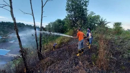 KARHUTLA:Petugas PMK memadamkan kebakaran hutan dan lahan di Jalan Matahari, Kelurahan Karang Anyar, Kecamatan Tarakan Barat, Minggu (23/8) lalu.