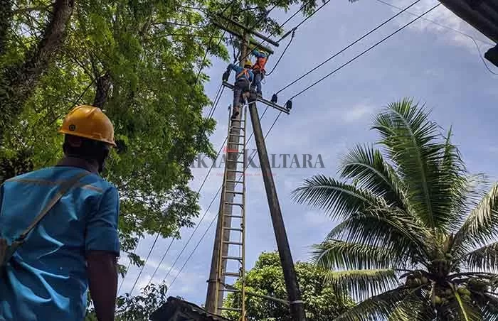 DISAMBAR PETIR: Petugas ULP PLN Rayon Tanjung Selor berupaya memperbaiki kabel listrik yang terputus akibat tersambar petir, Kamis (3/9).