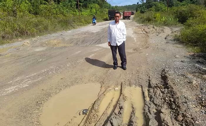 MEMPRIHATINKAN: Kondisi jalan menuju Desa Tanah Kuning Kecamatan Tanjung Palas Timur yang belum mendapat perhatian untuk perbaikan.