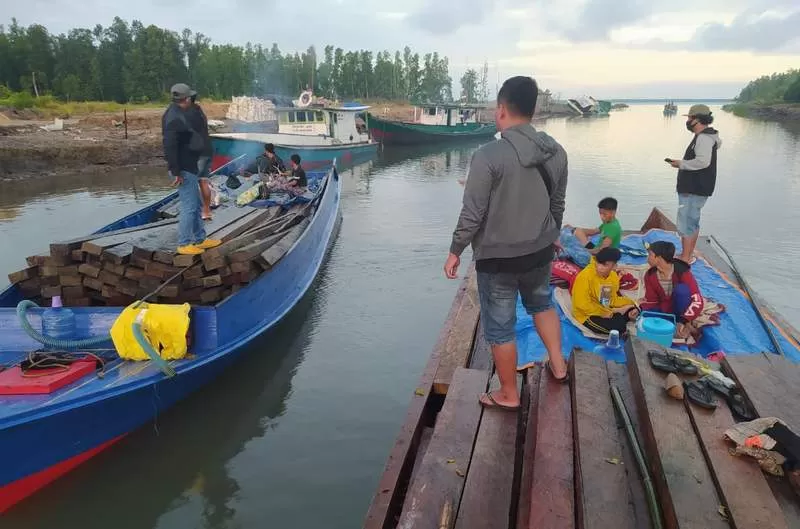 ILLEGAL LOGGING: Sebanyak 50 kubik kayu ilegal diamankan Satuan Brimob Polda Kaltara di Sungai Perikanan, Tarakan Barat, Rabu (16/6).