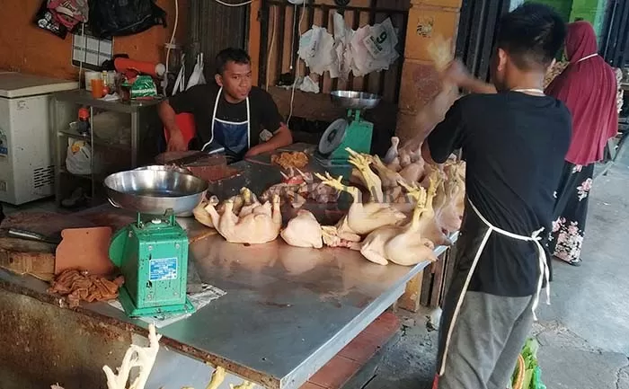 STOK MELIMPAH: Harga ayam broiler turun drastis di pasar tradisional di Tarakan dampak pengiriman ayam dari Berau.