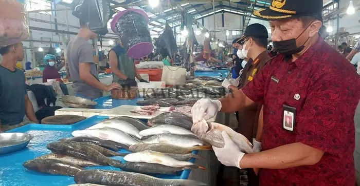 KUALITAS IKAN: BKIPM Tarakan lakukan monitoring hasil perikanan di dua pasar yang ada di Kabupaten Nunukan, kemarin (17/9).