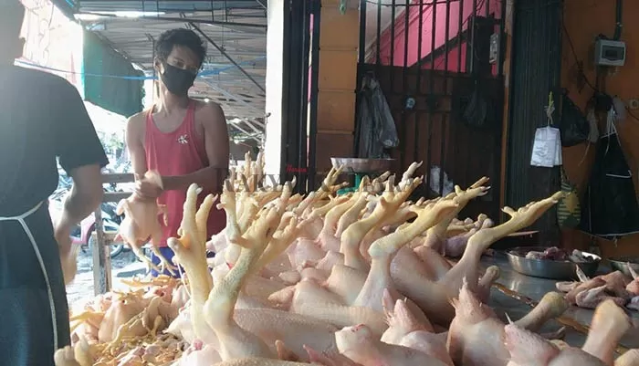 MELONJAK: Kebutuhan harga ayam saat ini mengalami kenaikan setelah terjadi penurunan PPKM.