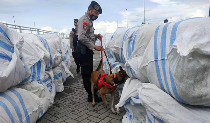DIPERIKSA: Anjing pelacak atau K-9 mencari barang terlarang dalam bongkaran balpres milik Briptu HSB di Pelabuhan Malundung Tarakan, Minggu (8/5).