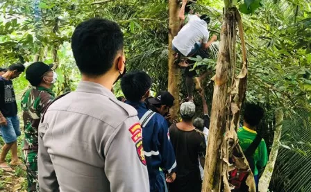 DIDUGA DEPRESI: Korban bunuh diri yang diturunkan warga saat tergantung di pohon dengan tali yang menjerat leher.