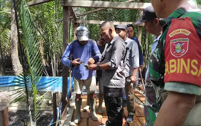 POTENSI KOMODITI: Bupati Bulungan Syarwani melepas bibit Kepiting Bakau di Desa Ardi Mulyo, Kecamatan Tanjung Palas Utara, Minggu (12/6).