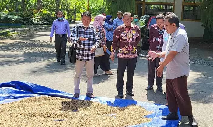 SEKTOR PERTANIAN: Kunker Anggota Komisi I DPRD Bulungan Syarifuddin (kemeja kotak-kotak) di Kabupaten Jember untuk pengembangan kopi dan kakao.