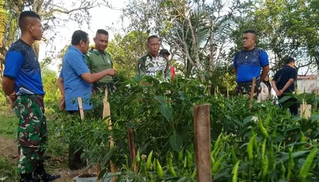 SEKTOR PERTANIAN: Lokasi tanaman cabai di Asrama Kompi Senapan B Raider Raja Alam ditinjau Bupati Bulungan Syarwani, Jumat (14/10).