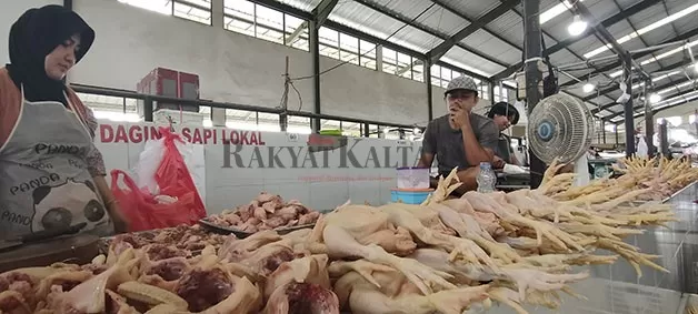 HARGA MASIH MAHAL: Ayam potong di Pasar Induk Tanjung Selor dihargai Rp 53 ribu-Rp 55 ribu per kilogram.