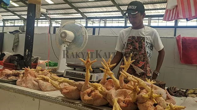 PENGENDALIAN INFLASI: Salah satu faktor terjadinya inflasi di Kaltara dikarenakan komoditas daging ayam dengan persentase 0,18 persen.