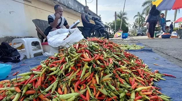 HARGA MEROKET: Komoditas cabai yang dijual pedagang di Pasar Induk Tanjung Selor dan Pasar Sore saat ini mencapai Rp 110 ribu per kg.
