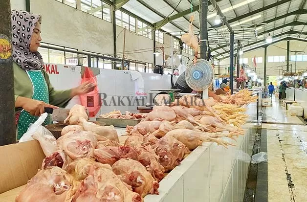 KEBUTUHAN MENINGKAT: Harga daging ayam di Pasar Induk Tanjung Selor pada H-4 Lebaran melonjak naik.