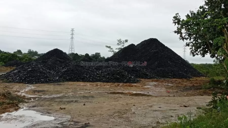 Penumpukan batu bara di Desa Martadinata belum mengantongi izin. Sebab itu, sekarang wewenang ada di aparat penegak hukum untuk memproesnya.