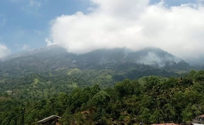 Kebakaran Meluas, 10 Haktare Hutan Dilereng Gunung Agung Terbakar ...