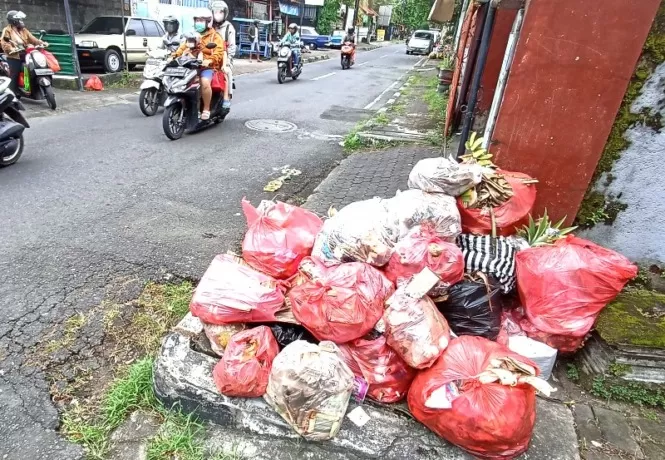 Kenapa Pangkalan Sampah Di Denpasar Meluber? Ternyata Alat Berat TPA ...