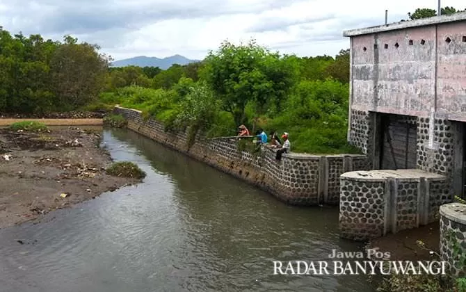 Antisipasi Bencana Alam, Rutin Keruk Sedimen Sungai - Radar Banyuwangi