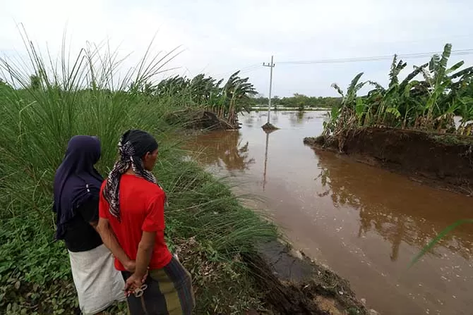 Tanggul Sungai Petung Pasuruan Jebol, Tambak Diterjang Banjir - Radar Bromo