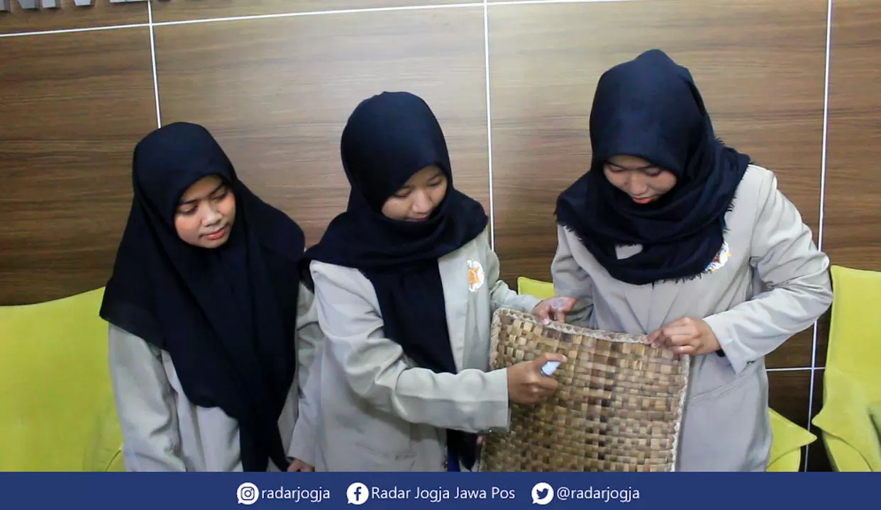 Mahasiswa UGM Ciptakan Bantal Berbahan Eceng Gondok Dan Sabut Kelapa ...