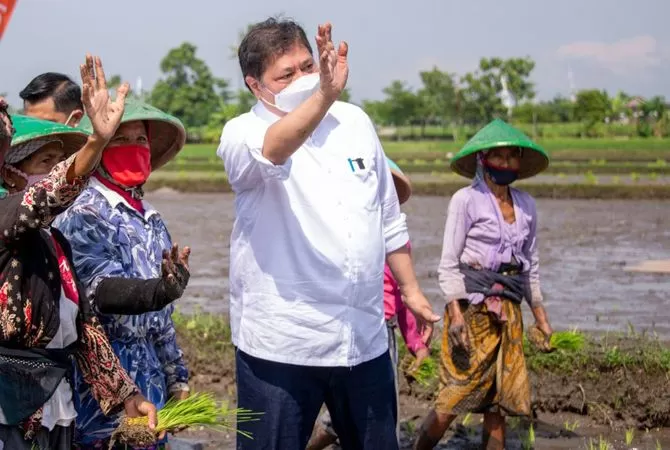 Menko Airlangga Hartanto Dukung Smart Farming Petani Milenial - Radar Kudus