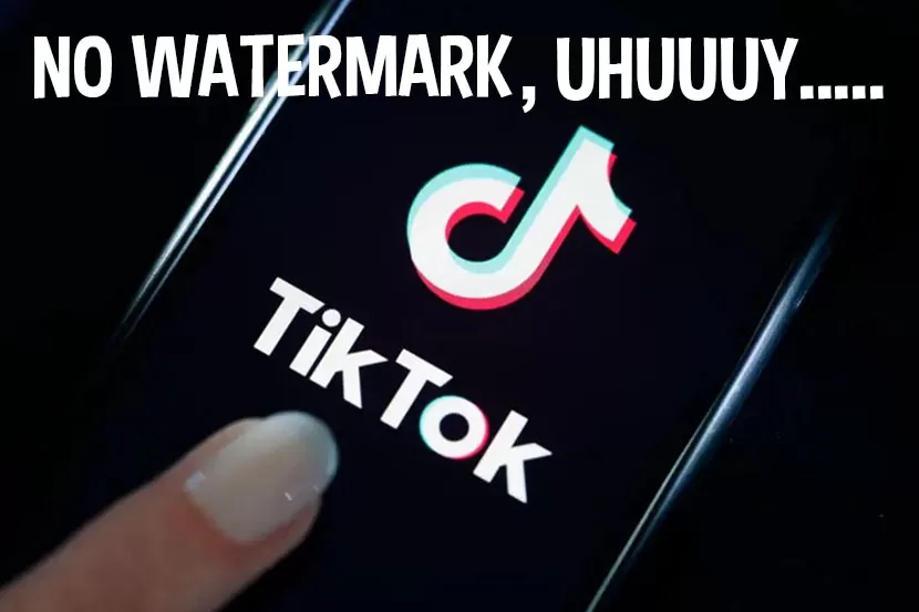 Cara Download TikTok MP4 Tanpa Watermark di SnapTik, Mudah dan Gratis! -  Banten Raya