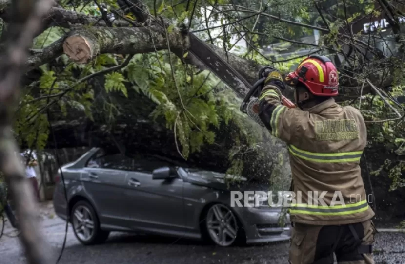 Hujan Angin Di Jakarta Ini Cara Mengajukan Klaim Asuransi Pohon Tumbang Jika Jadi Korban Oohya