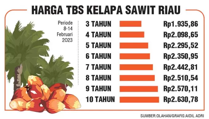 Harga TBS Sawit Riau Naik Jadi Rp2.630 Per Kg - Riau Pos